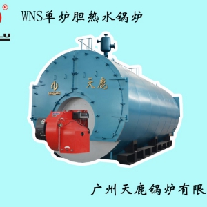 WNS单炉胆热水锅炉