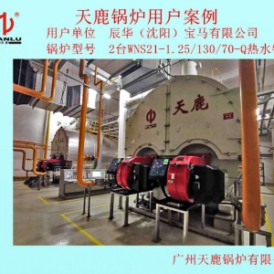 辰华（宝马）有限公司锅炉房
