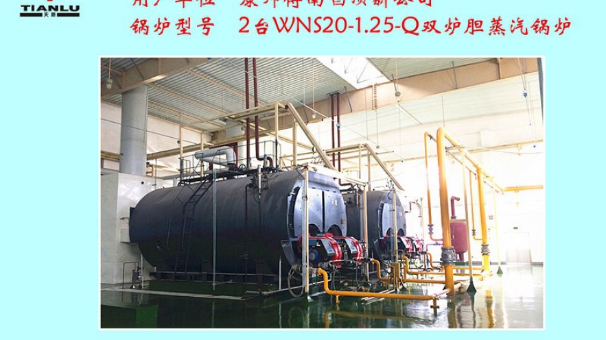 康师傅南唱顶新公司2台WNS20-1.25-Q双炉胆蒸汽锅炉