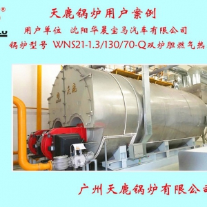 沈阳华晨宝马汽车有限公司一台WNS21双炉胆燃气热水锅炉