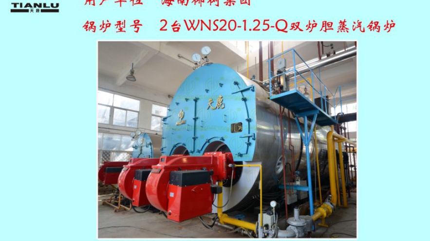 椰树集团2台WNS20-1.25-Q双炉胆蒸汽锅炉