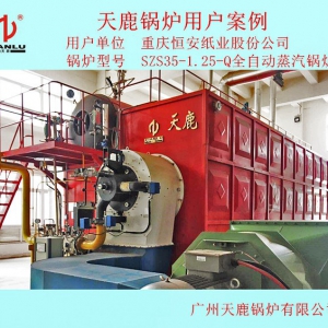 重庆恒安纸业SZS35锅炉房